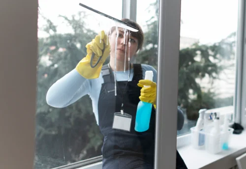 Nettoyage de vitres intérieures et extérieures à Cosmes